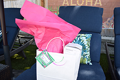 MOMENTUM - MULTI-VENDOR